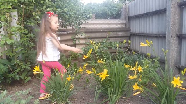 Солнечные желтые лилейники смотреть онлайн