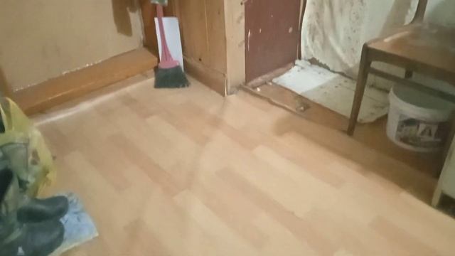 Как вывести мышей из частного дома? Кааак???#мышидома смотреть онлайн