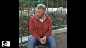 АБОСИ Гарми _-_ ИНА МОДЕЛЬ УНА МОДЕЛЬ