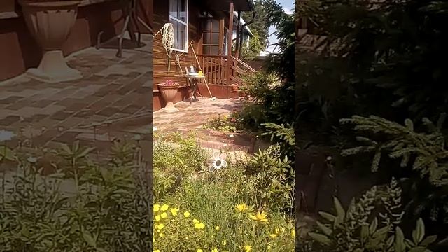 Прессованная брусчатка укладка тротуарной плитки 3 цвета красная жёлтая каричневая смотреть онлайн