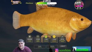 Русская Рыбалка 4?Линь ЗОЛОТИСТЫЙ трофей? Russian Fishing 4