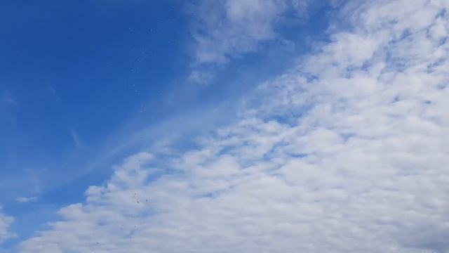 Сделал водяную ракету из пластиковой бутылки. смотреть онлайн