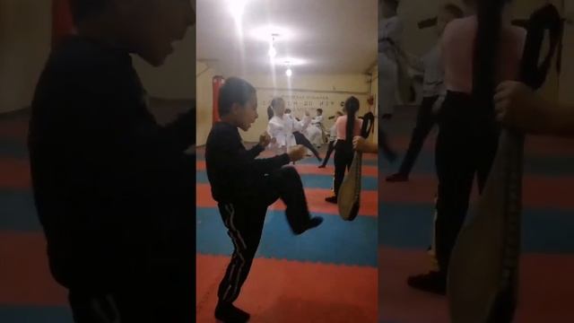 Новопокровская Средняя школа✓3. Таэквон-До ИТФ! Тренер сборной Юсупов Ильдар Аблаханович! смотреть онлайн