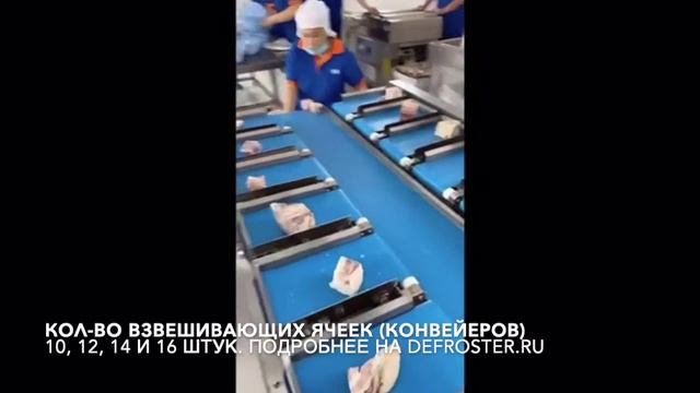 Автоматический горизонтальный дозатор стейков (мультиголовка) для группировки с заданным весом