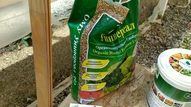 Уход за ампельной петунией в кашпо. Эксперимент года - новая схема обработок. смотреть онлайн