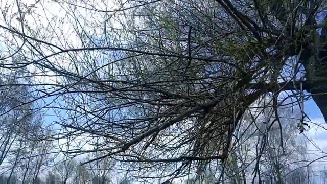 Дела житейские, отмечаем 1 мая,шашлычки и заливаем фундамент под террасу смотреть онлайн