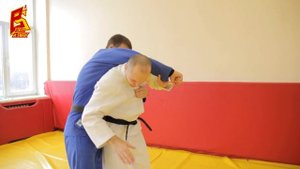 Обратный бросок через спину: как и когда делать. Дзюдо и грэпплинг. Александр Лебезов