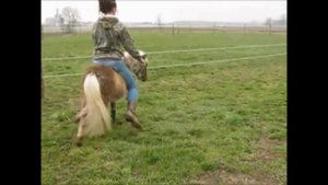 Girl on fanny pony