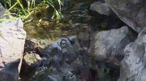 Татьяна Пермякова (г.Челябинск)_Село родное