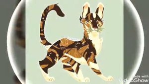 Коты воители всё зависит от нас самих