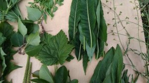 Натуральный ужин дегу за 30 минут!