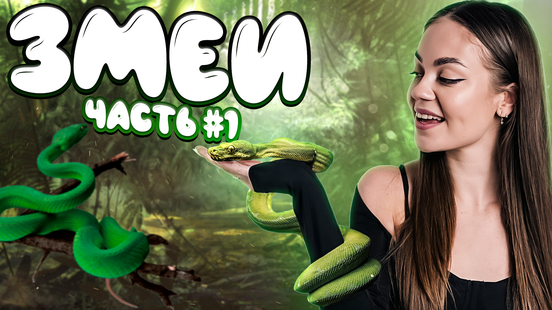 Змеи // образовательные видео Valynha смотреть онлайн