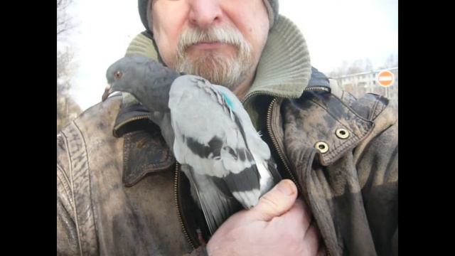 И снова в полет... смотреть онлайн