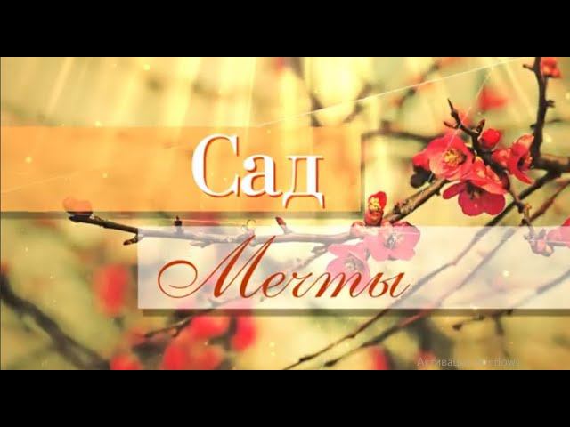 Сад мечты. Выпуск 29 смотреть онлайн