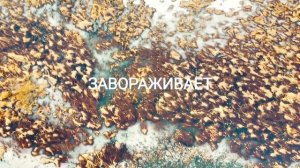 река Оредеж