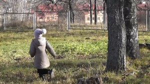 г.Волгореченск - В роще!