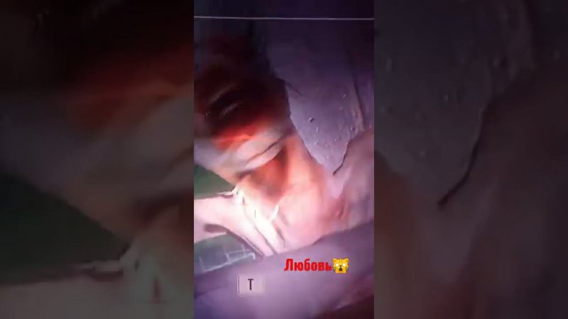 Вот это любовь