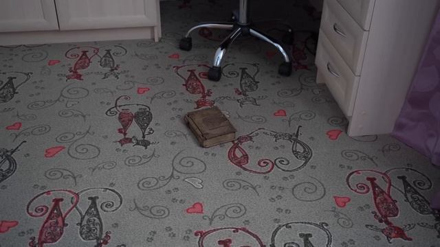 Поговорили с ТЭКЕ ТЭКЕ в реальности! *и это было ошибкой*