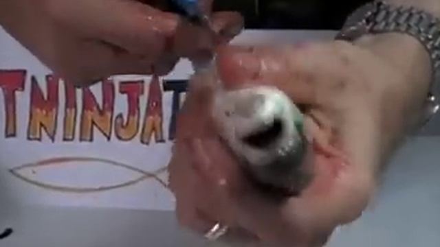How to Clean a Trout with Kindergarten Scissors in Less Than 37 Seconds смотреть онлайн