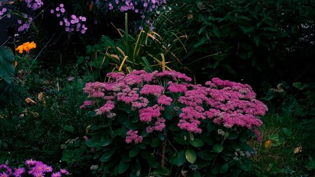 В старинном парке живёт легенда. Ч.2. Дача мецената Шереметева смотреть онлайн