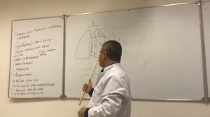 Промежуточный мозг. Строение и физиология. Structure and physiology of the intermediate brain