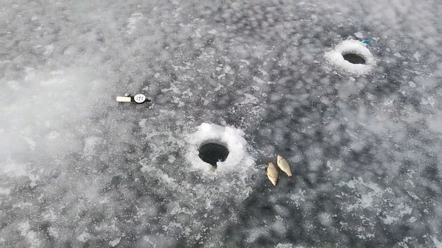 Зимние Караси + бонус! Смотрим под лёд камерой CALIPSO! смотреть онлайн