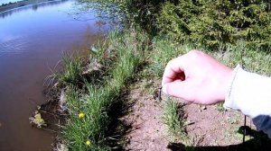 Baitcasting. Первая рыбалка лета. Поймал монстра????