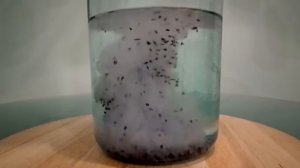 Очистка самогона кокосовым углём. Купить самогонный аппарат недорого