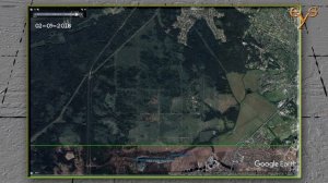 Что на самом деле случилось в Лосином острове