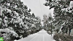 Санаторий-курорт ЕГНЫШЁВКА