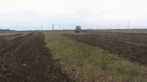 Борона дисковая БДМ 2,1х2 КС производства ООО "БДТ-АГРО" с трактором Беларус 82