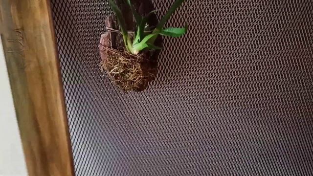 Как подвесить цветы.