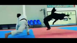 бой ниндзя убийца