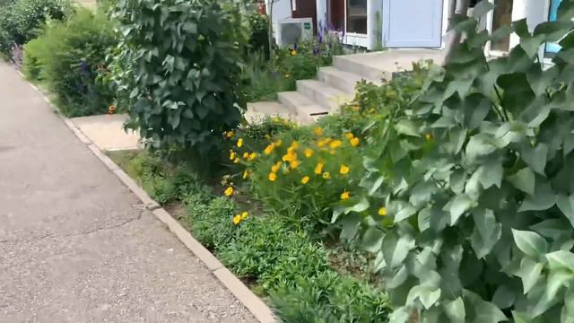 НЕ ВСЁ ТАК ПРОСТО! ВОТ И ЗАЙМИСЬ СОБОЙ! смотреть онлайн