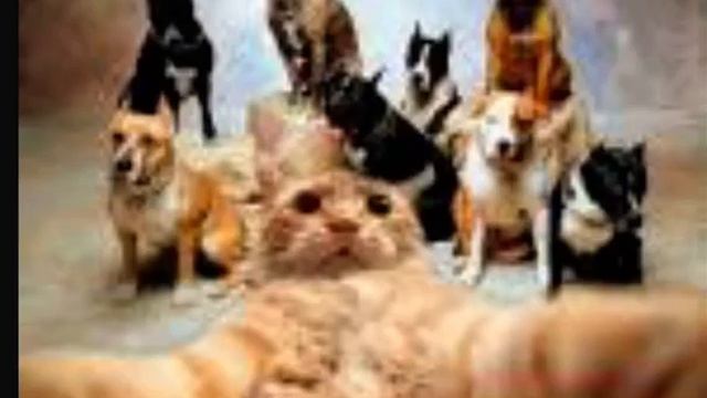 14 января 2023 г. смотреть онлайн