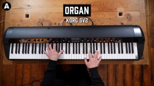 Yamaha CK88 vs the Competition! - Roland RD-88, Korg SV2