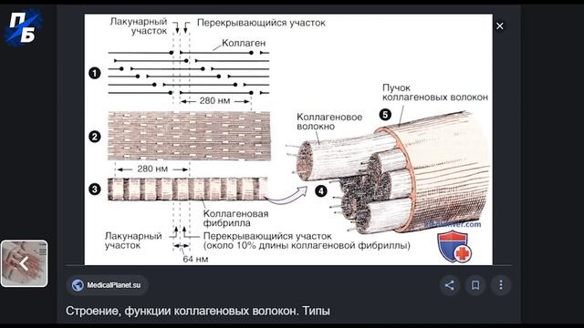Изометрия. Александр Засс. Тренировка сухожилий и силы дома. Бодитюнинг #49