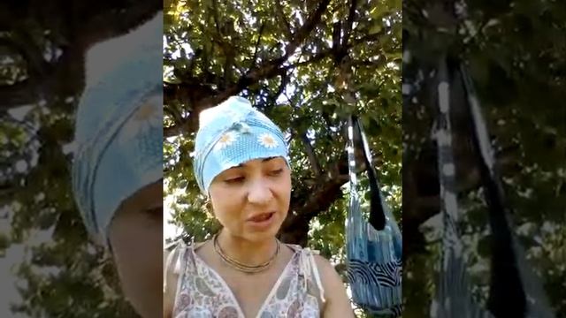 Дачный сезон.Что делать с морковью,если ее ботва пошла в цвет.