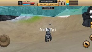 Баги и странная логика в cat simulator animal life