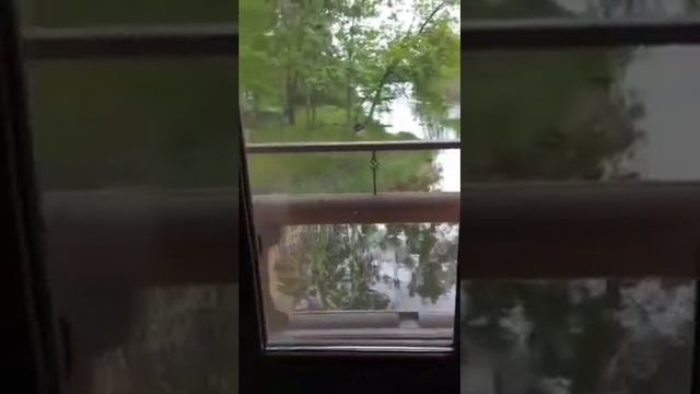 Аренда дома Труханов остров