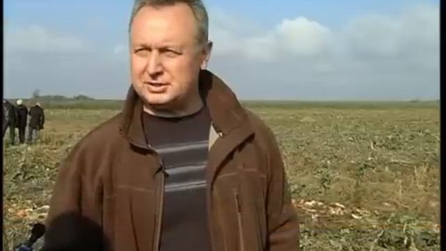 Інвестиції в гарбузи смотреть онлайн