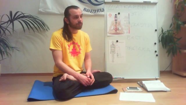 Энергетические каналы и система чакр. Евгений Минц смотреть онлайн