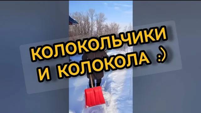 Чистим снег на даче. 04.02.2024. Песня Варвары Визбор