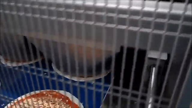 линия по производству пиццы МОЛМАТ смотреть онлайн