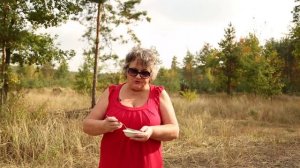 Что делать если пересолил суп или бульон