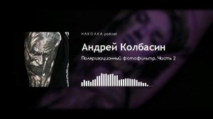 #15. Андрей Колбасин / Поляризационный фотофильтр. Часть 2