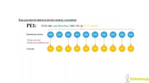 СДСМ 12. MPLS L2VPN. VPLS BGP. Механизм Label Block