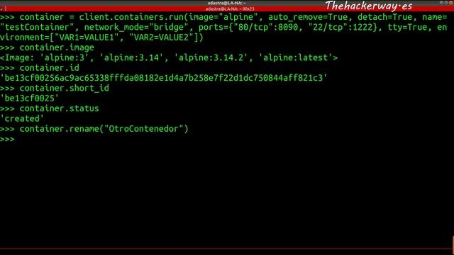 Cómo controlar Docker desde tus scripts en Python – Parte 2 de 2