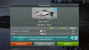 Как и где ловить#толстолобик#my fishing world