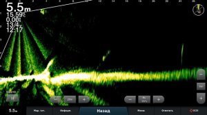 Лес густой....Garmin LiveScope